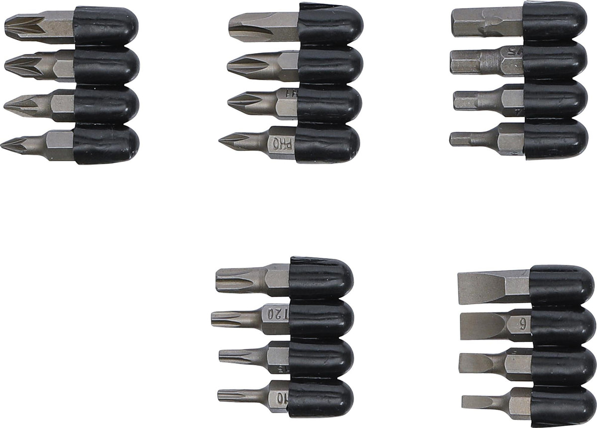 Antgalių komplektas | 6.3 mm (1/4") | 20 vnt. (4830)