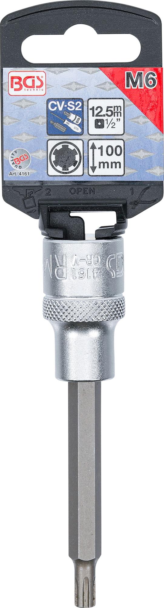 Antgalis | ilgis 100 mm | 12,5 mm (1/2") | Spline (RIBE) | M6 (4161)
