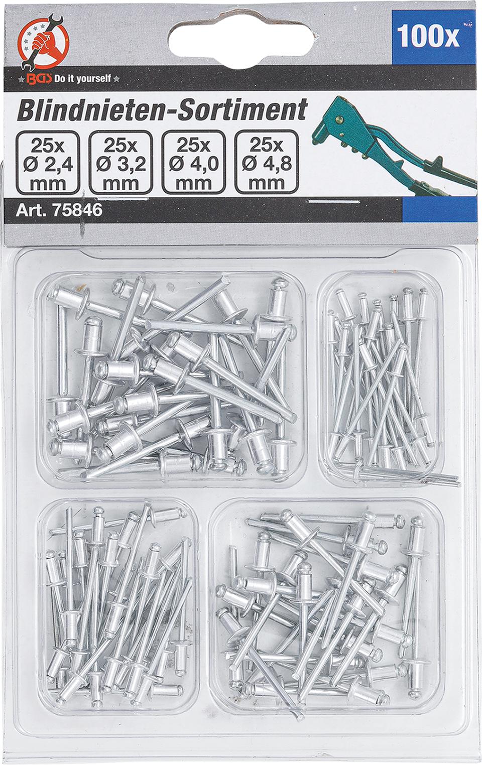 Kniedžių asortimentas | Ø 2.4 - 4.8 mm | 100 vnt. (75846)