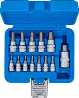 Antgalių rinkinys | 6.3 mm (1/4) / 10 mm (3/8") / 12.5 mm (1/2") | hex šešiakampis 2 - 14 mm | 13 vnt. (74257)