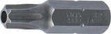 Antgalis | 8 mm (5/16") storio | T-Star su skyle (Torx) T40 (4440)