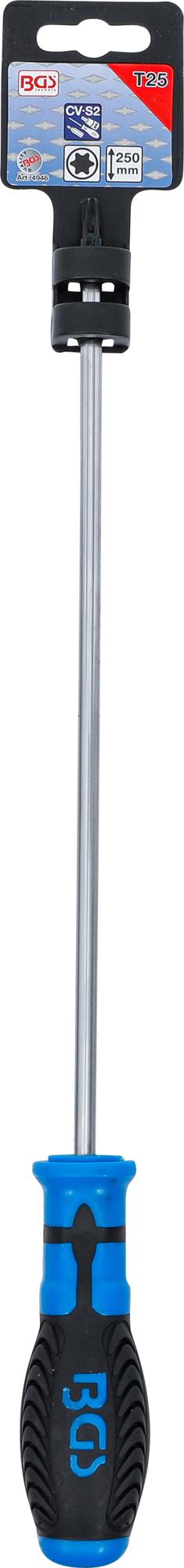 Atsuktuvas | T-Star ("Torx") T25 | ilgas tipas | 250 mm (4946)