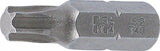 Antgalis | 8 mm (5/16") storio | T-star (Torx) T40 (8164)