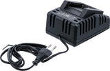 Быстрое зарядное устройство | 4,0 A | 18 V