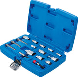 Adapterių galvutėms / adapterių antgaliams rinkinys | 16 vnt. (6779)
