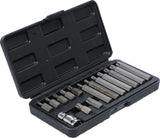 Antgalių rinkinys | trumpas / ilgas | 10 mm (3/8") storio | T-Star (Torx) | 15 vnt. (5040)