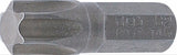 Antgalis | 6.3 mm (1/4") | T-Star (Torx) T45 (8197)