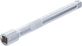 Ilgintuvas galvutei | 6.3 mm (1/4") | 100 mm (2335)