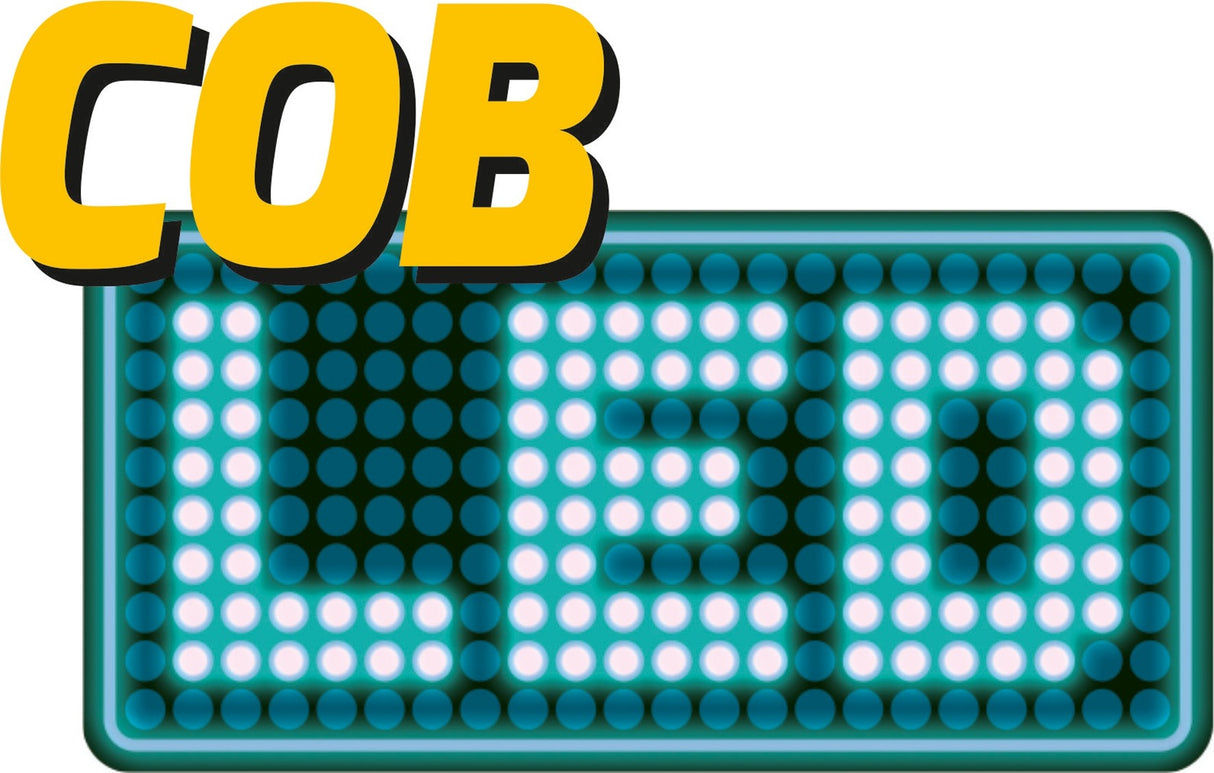 Šviesos diodų prožektorius | 10W COB LED | 680 lm (YT-81821)