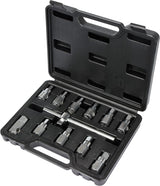 DRAIN PLUG SET 12PCS (YT-0600)