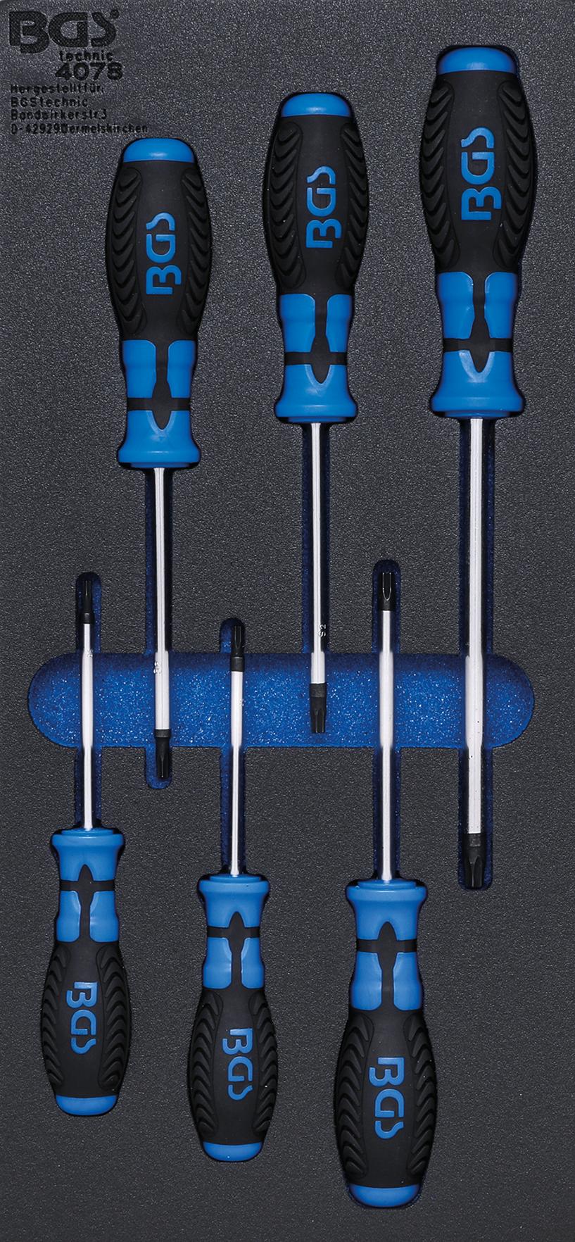 TOOL TRAY 1/3: SCREWDRIVER T-STAR (FOR TORX) | 6 PCS. (4078)