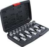 BIT SOCKET / SOCKET SET | 12.5 MM (1/2") DRIVE | T-STAR (FOR TORX) / E-TYPE | 19 PCS. (95100)