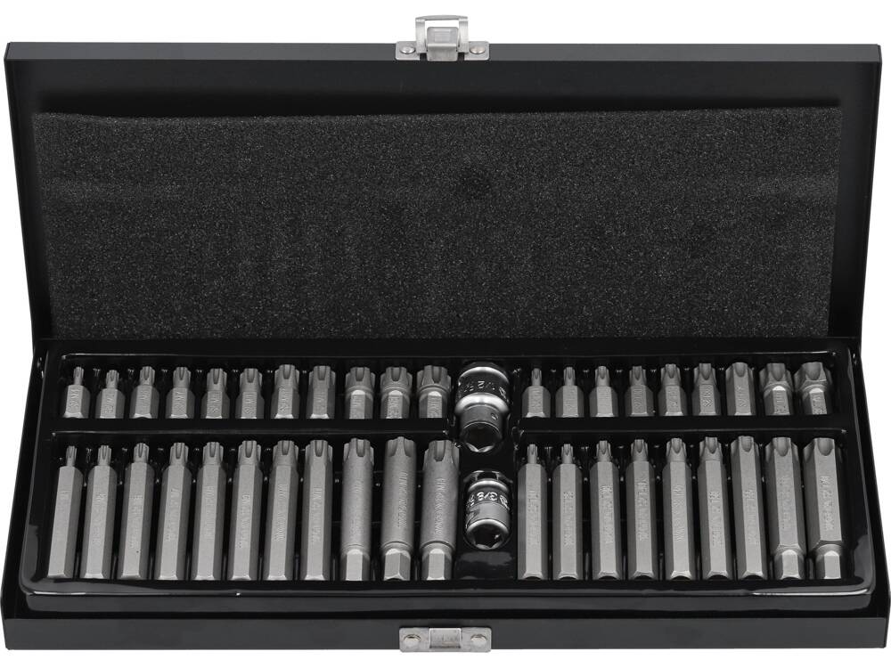 Набор бит | Ribe / T-Star (Torx) с отверстием | 42 шт.