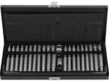 Набор бит | Ribe / T-Star (Torx) с отверстием | 42 шт.