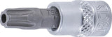 Antgalis įpresuotas | 6,3 mm (1/4") | T-Star (Torx) penkiakampis TS40 (5184-TS40)