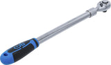 Terkšlė galvutėms ištraukiama | ypač ilga | 12.5 mm (1/2") | 455 - 595 mm (25124)