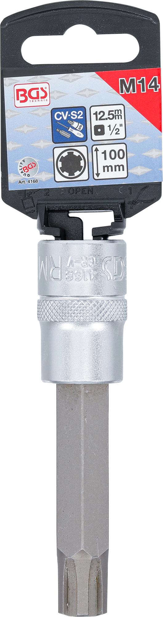 Antgalis | ilgis 100 mm | 12,5 mm (1/2") | Spline (RIBE) | M14 (4168)