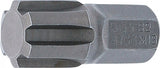 Antgalis | ilgis 30 mm | 10 mm (3/8") | Spline (RIBE) M13 (4768)
