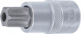 Antgalis įpresuotas į galvutę | 12,5 mm (1/2") | T-Star su skyle (Torx) T70 (4377)