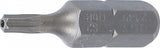Antgalis | 6,3 mm (1/4") | T-Star su skyle (Torx) T10 (2439)