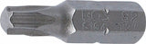 Antgalis | 6.3 mm (1/4") | T-Star (Torx) T27 (8194)