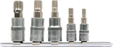 Įpresuotų antgalių rinkinys 1/4"+3/8", 5 vnt Spline M5 - M12 (YT-04360)