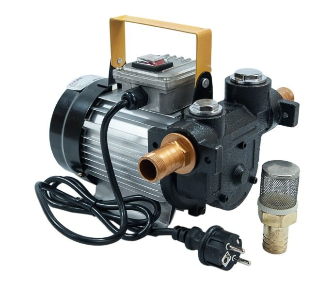 Elektrinis alyvos perdavimo siurblys | 550W (BST1050)