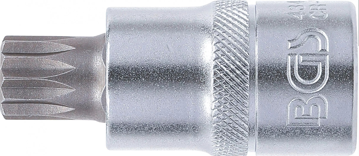 Antgalis įpresuotas į galvutę | 12,5 mm (1/2") | Spline (XZN) M14 (4344)