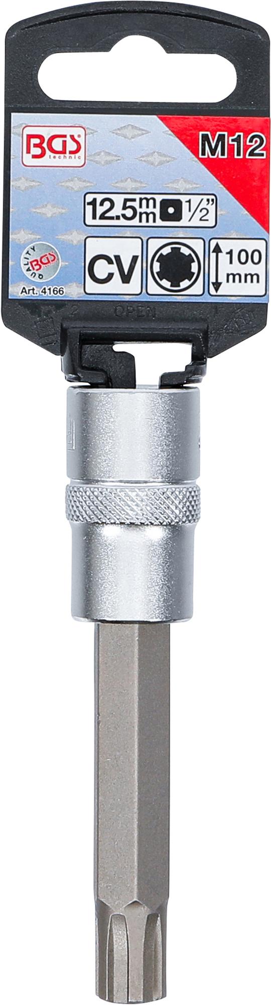 Antgalis | ilgis 100 mm | 12,5 mm (1/2") | Spline (RIBE) | M12 (4166)