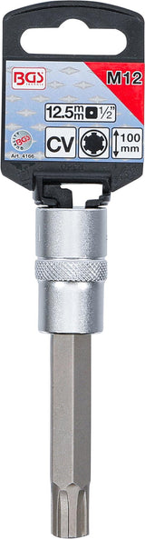 Antgalis | ilgis 100 mm | 12,5 mm (1/2") | Spline (RIBE) | M12 (4166)