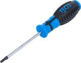 Atsuktuvas | T-Star (Torx) T25 (4920)