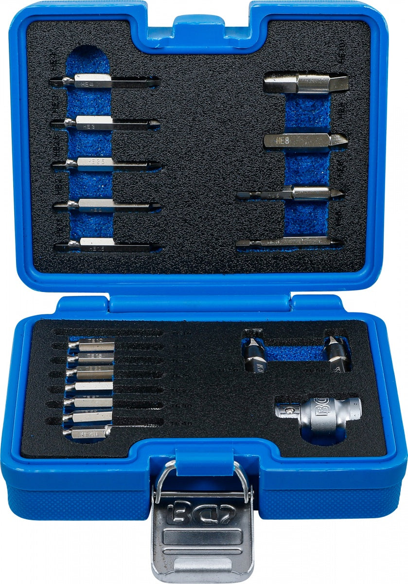 Varžtų ištraukimo rinkinys | vidiniam šešiakampiui 1,5 - 10 mm / T-Star (Torx) | T10 - T55 | 19 vnt. (9173-1)