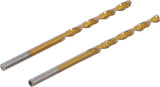 Grąžtai metalui HSS-G 2.5 mm, 2vnt. (2040-2.5)