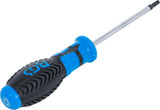 Atsuktuvas | T-Star (Torx) T25 (4920)