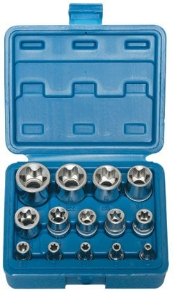 Galvučių rinkinys E-Star varžtams 14 vnt, 1/4"+3/8"+1/2", E4-E24  (KR121014)