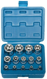 Galvučių rinkinys E-Star varžtams 14 vnt, 1/4"+3/8"+1/2", E4-E24  (KR121014)