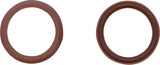 Fluoroelastomero sandarikliai BGS 4067 (4067-1)