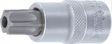Бита в головке | 12,5 mm (1/2") | T-Star с отверстием (Torx) T60