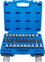 Antgalių rinkinys |  12.5 mm (1/2") | Hex / T-Star (Torx) / Spline (XZN) | šarnyriniai | 20 vnt. (5170)