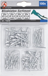 Kniedžių asortimentas | Ø 2.4 - 4.8 mm | 100 vnt. (75846)