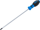 Atsuktuvas | T-Star ("Torx") T25 | ilgas tipas | 250 mm (4946)