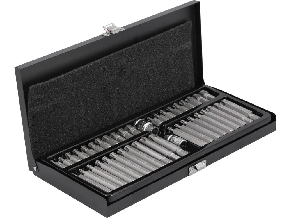Набор бит | Ribe / T-Star (Torx) с отверстием | 42 шт.