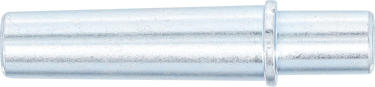Antgalis smėliapūtei BGS 3244 (3244-1)