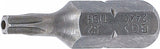 Antgalis | 6,3 mm (1/4") | T-Star su skyle (Torx) T15 (2440)