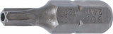 Antgalis | 6,3 mm (1/4") | T-Star su skyle (Torx) T20 (2441)