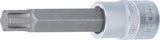 Antgalis | ilgis 100 mm | 12,5 mm (1/2") | Spline (RIBE) | M13 (4167)