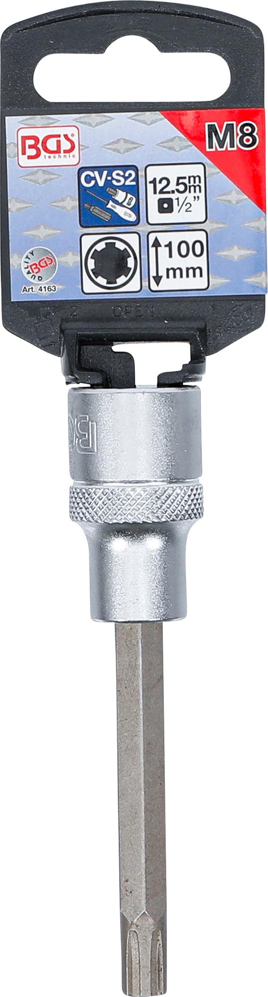 Antgalis | ilgis 100 mm | 12,5 mm (1/2") | Spline (RIBE) | M8 (4163)