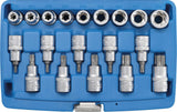 Antgalių ir galvučių rinkinys | 12,5 mm (1/2") | E-Star / T-Star (Torx) | 19 vnt. (5100)