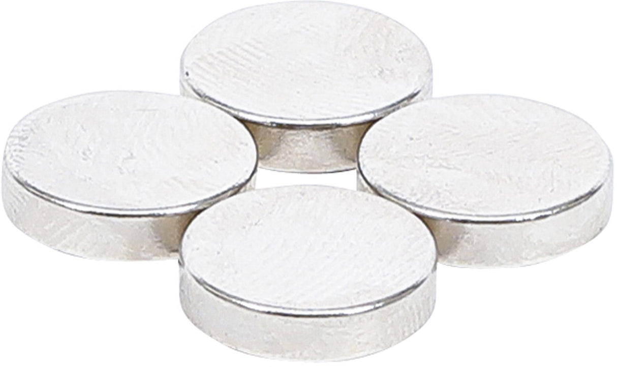 Magnetų rinkinys | ypač stiprūs | Ø 12 mm | 4 vnt. (79909)