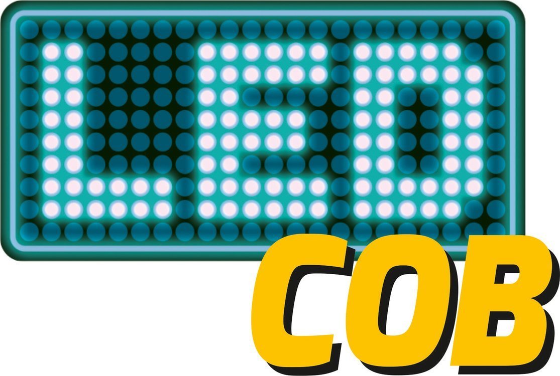 COB LED darbo lempa su magnetu | 5W COB 300LM + UV (YT-08580)